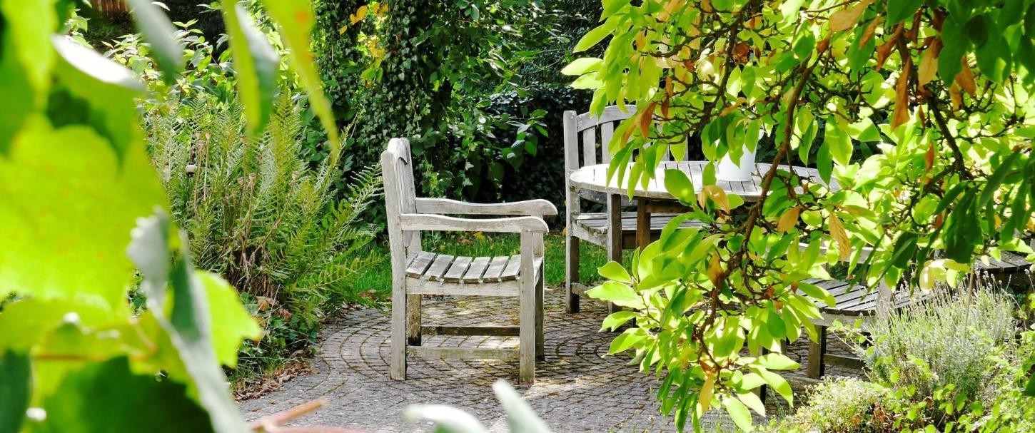 Garten im Sommer Garten im Sommer