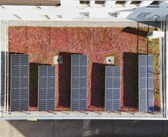 Foto: Dietmar Strauß, Besigheim