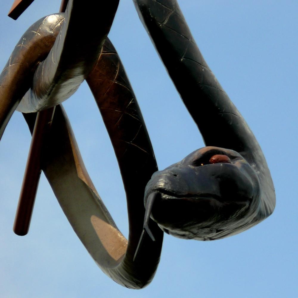 Nahaufnahme der Schlange des Künstlers Auke de Vries 