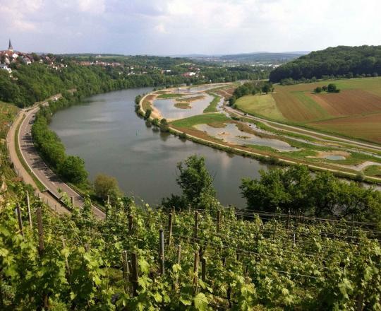 02_Zugwiesen_2012_nach_Umgestaltung