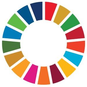 Das Foto zeigt das runde mehrfarbige Logo der Sustainable Development Goals