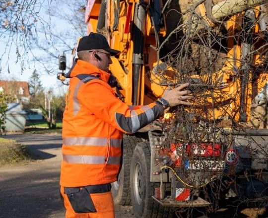 08_Baumverpflanzung-BWZ-2023_ChristianaKunz