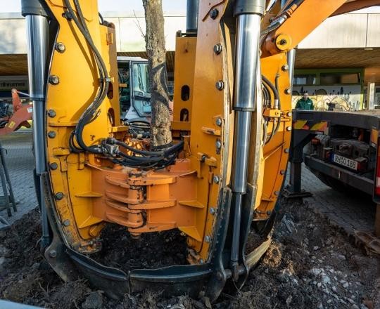 04_Baumverpflanzung-BWZ-2023_ChristianaKunz