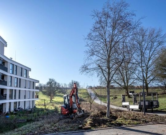 12_Baumverpflanzung-BWZ-2023_ChristianaKunz