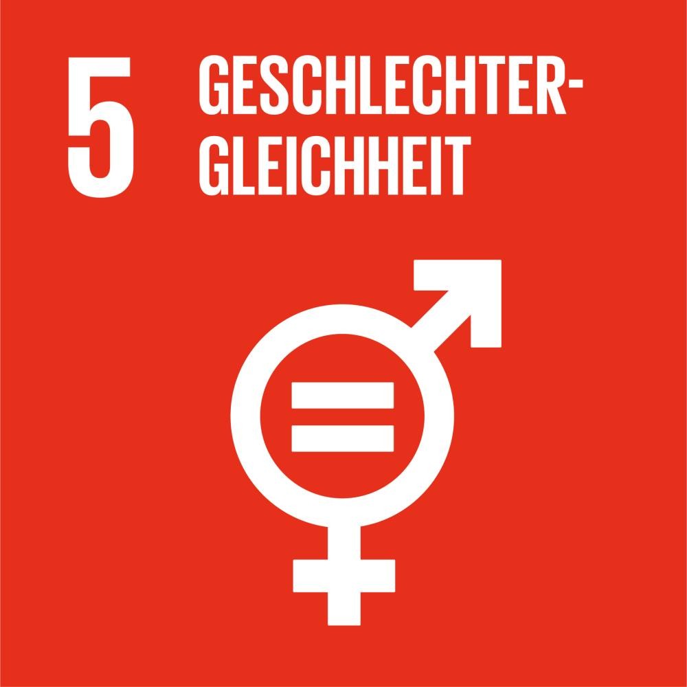 Logo SDG 5