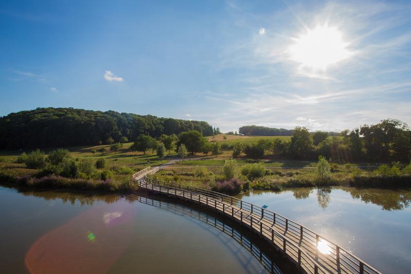 Im Vordergrund Blick auf den Neckar und eine Brücke, im Hintergrund Wiesen und Bäume. Die Sonne strahlt vom Himmel.