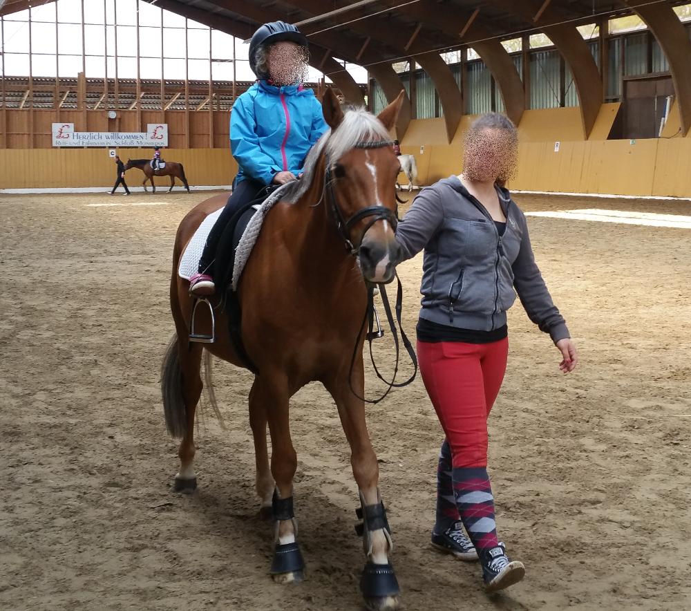 Kinder Ferien-Reitkurse am Monrepos