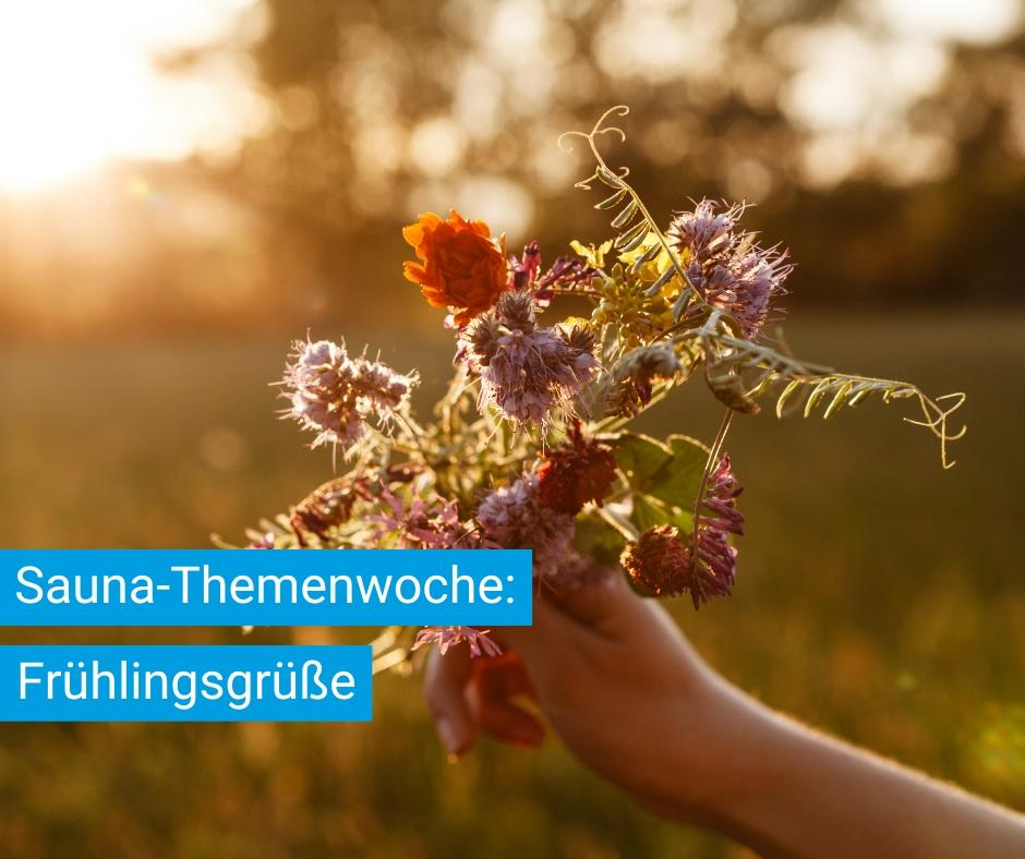 Ein Strauch Frühlingsblüten im gleißenden Morgenlicht