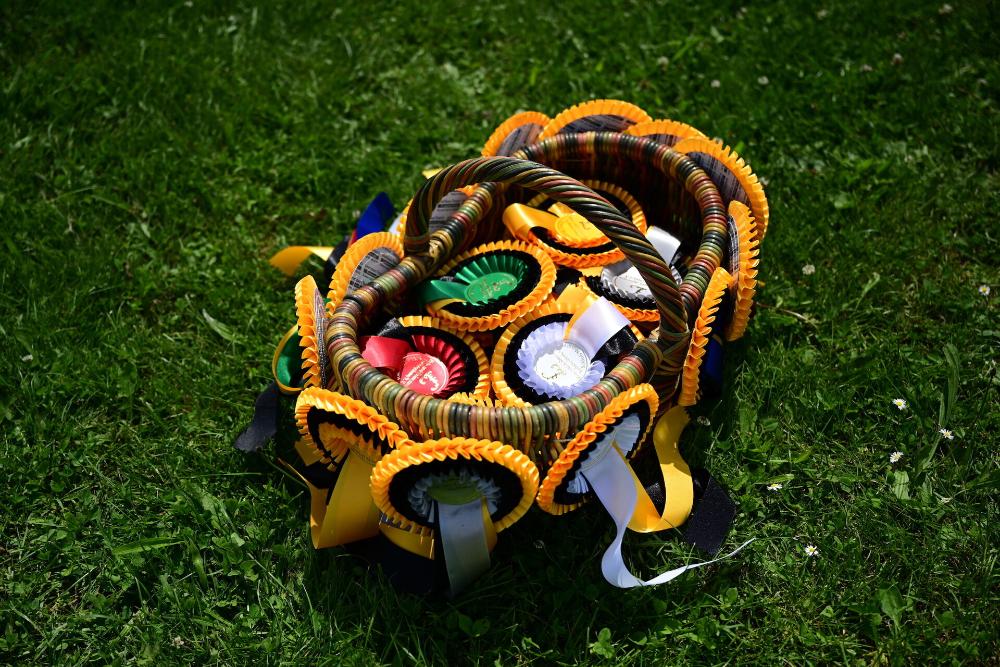 29. Ludwigsburger Dressurturnier, 12.-14. Juni 2026 – Schlossdomäne Monrepos