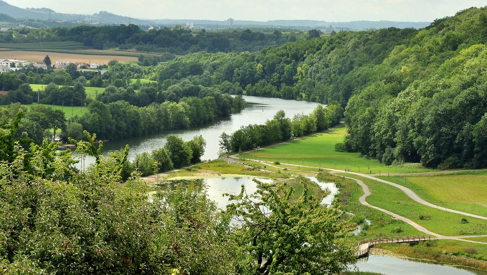 Zugwiesen Neckarufer