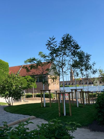 Grünfläche und Bäume