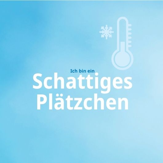 Bild mit einem Thermometer und der Aufschrift Schattiges Plätzchen