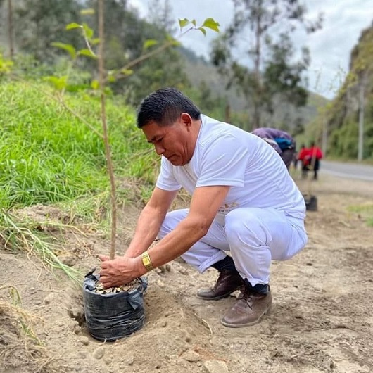 Mann pflanzt einen Baum