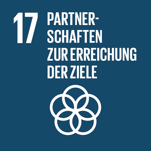 Logo SDG 17