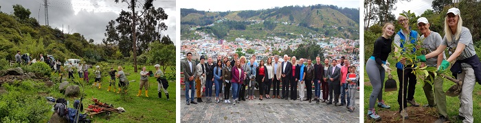 Rechts und links Personen pflanzen Bäume; Mitte Gruppenfoto