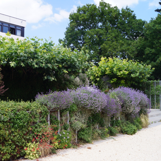 Park bei der Stadtbibliothek Ludwigsburg