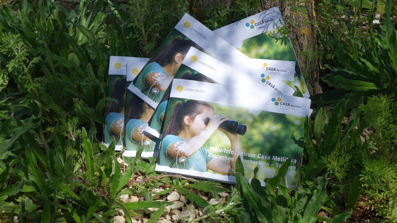 Titelblatt Programmbroschüre Casa Mellifera