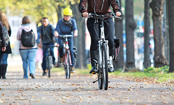 Drei Fahrradfahrer sowie Fußgängerinnen und Fußgänger in einer Allee.