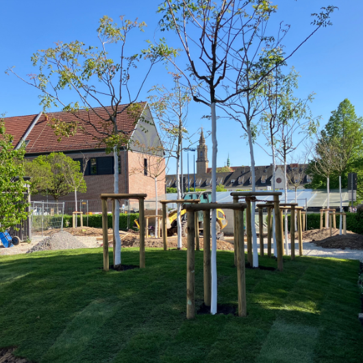 Umgestaltung Burkinisches Dorf