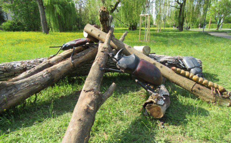 Baumstämme für Totholzkäfer