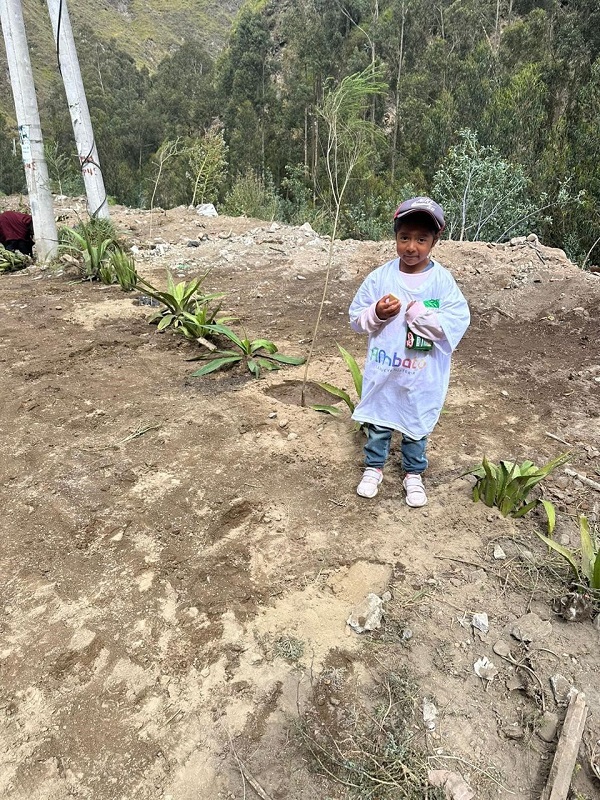 Kind mit Ambato-TShirt bei neu gesetzten Pflanzen