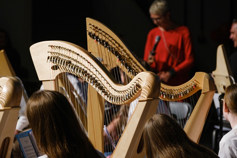 Inklusives HarVeeh-Ensemble Ludwigsburg