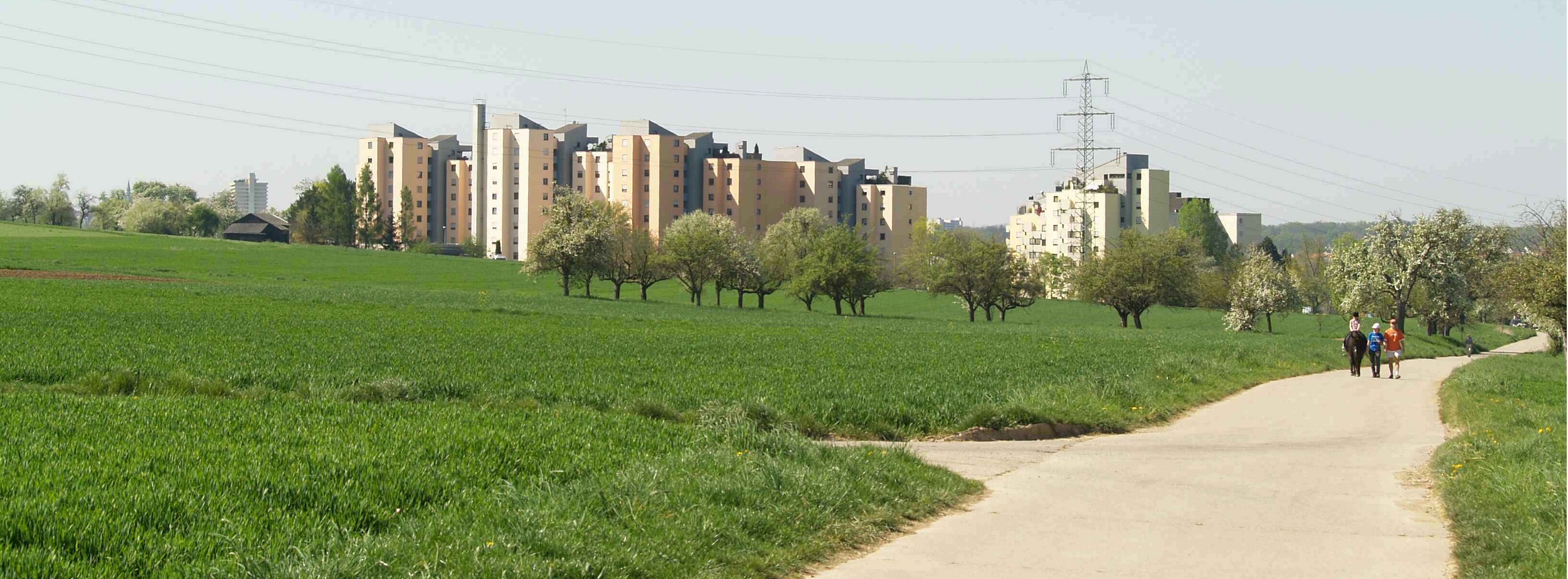 Spazierweg Ludwigsburg, Blick auf Neckarweihingen