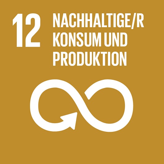 Logo SDG 12