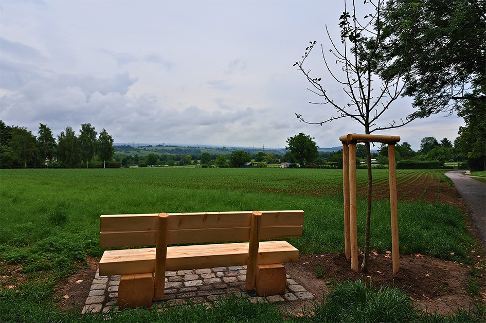 Sitzbank mit Blick auf eine grüne Wiese