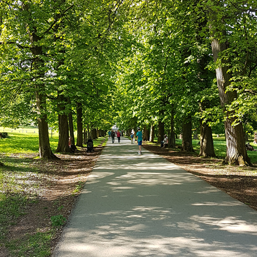 Schattige Allee im Favoritepark