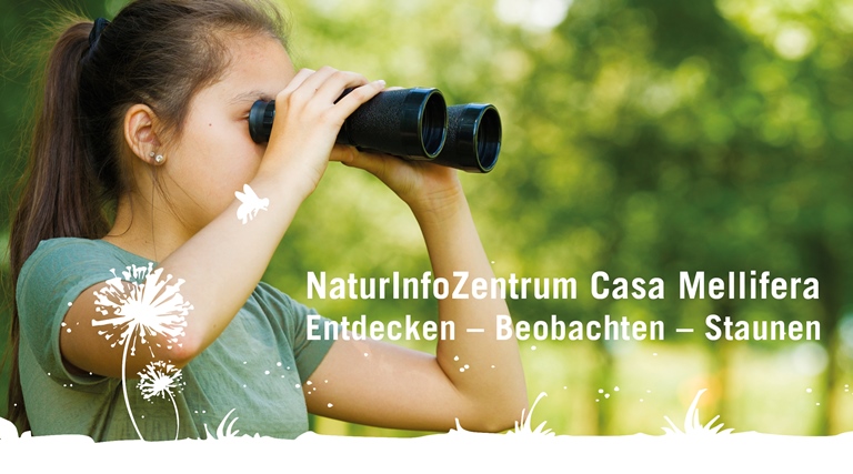 Titelblatt Programmbroschüre Casa Mellifera Titelblatt Programmbroschüre Casa Mellifera