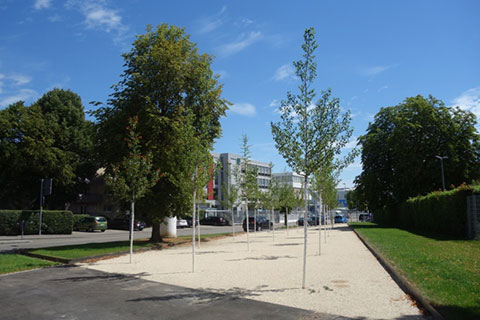 kleiner Platz mit Bäumen und Grünfläche