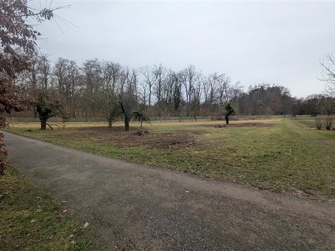 Obstwiese Ludwigsburg, Flurstück 9568