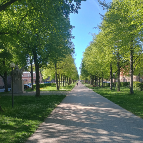 Allee Blühendes Barock