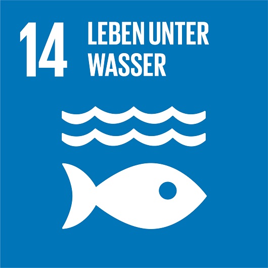 Logo SDG 14 zur Seite Leben unter Wasser SDG 14