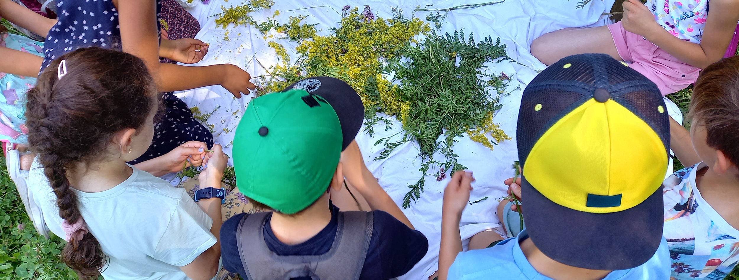 Kinder betrachten gemeinsam verschiedene Kräuter und lernen etwas dabei