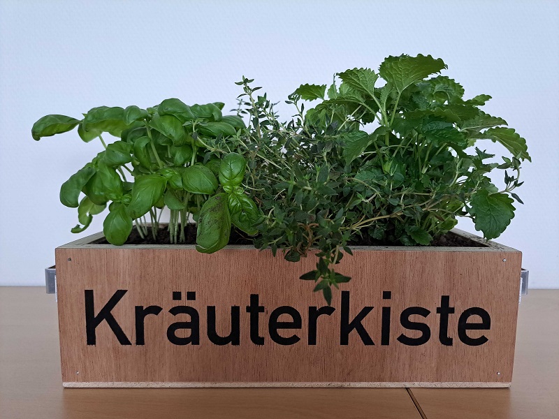 Bild Kräuterkiste