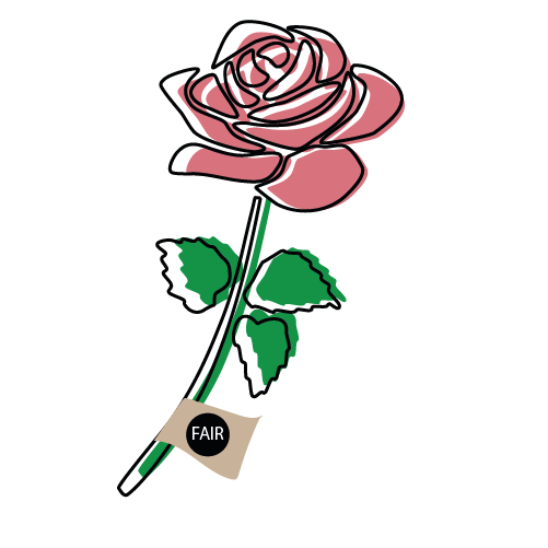 Illustration einer Rose
