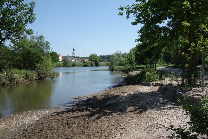 Schattiger Platz am Neckarufer. 
