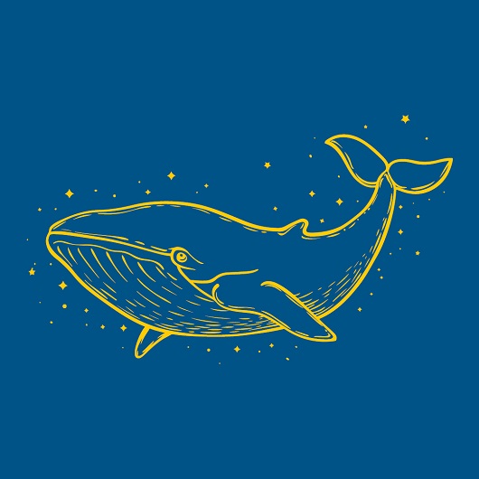 gelbe Strichzeichnung von einem Wal auf blauem Hintergrund