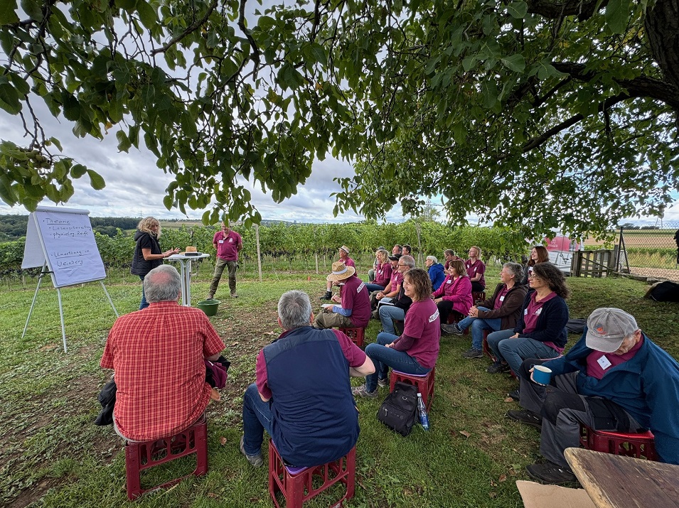 Eine Gruppe von Menschen sitzt im Grünen unter einem Baum. Im Hintergrund befinden sich Weinreben.