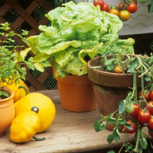 Gartengrundstücke