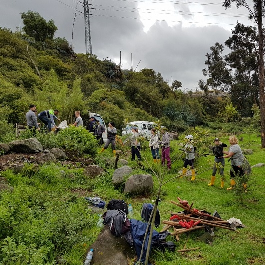 Mehrere Personen helfen Bäume pflanzen 
