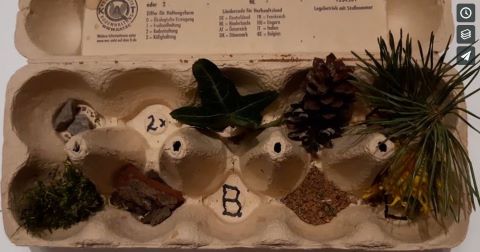 Naturmaterialien im Eierkarton