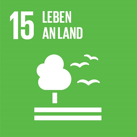 Logo SDG 15 zur Seite Leben an Land