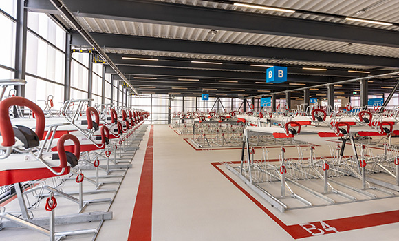 Blick in die noch leere Radstation mit einer Vielzahl von Abstellplätzen.