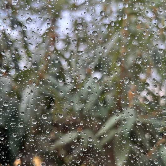 Regentropfen an Fensterscheibe