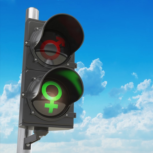 Ampel mit rotem Symbol für Mann und grünem Symbol für Frau
