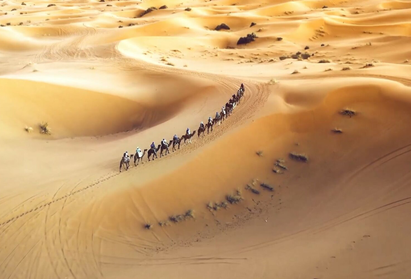 Eine Gruppe Kamela reitet durch die Wüste.