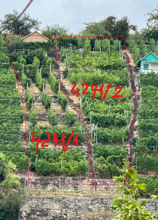 4241_1_NW